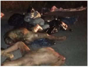 GRAPHIC: Cartel Beheadings and Shootings Rock Mexican Resort Area…