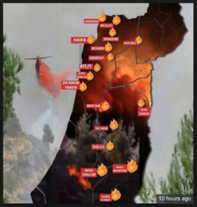 Israel burns: Tens of thousands flee the city of Haifa after bushfires blamed on terrorists ravage the Jewish state…