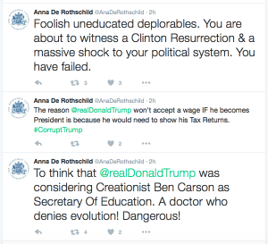 ELITE SYNAGOGUE OF SATAN MEMBER ANNE DE ROTHSCHILD MOCKS DEPLORABLES RELENTLESSY ON TWITTER…