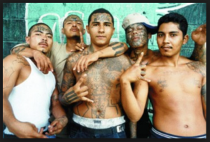 WALL NEEDED: Severed heads are strewn across Mexico as 13 people are gunned down during a bloody period of drug violence…