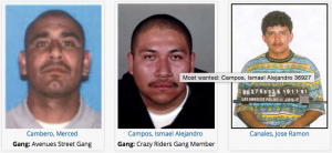 LOS ANGELES MOST WANTED (Interesting)…