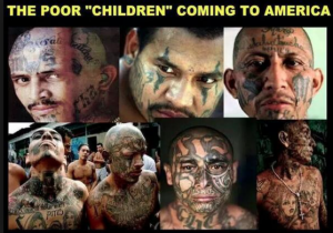 Up to 20,000 members across 46 states: MS-13’s legacy of murder, drug and human trafficking is exposed as illegal immigrants from the tattooed gang face trial…
