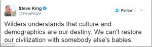 THE LEFT LOSES IT: Anger at Republican congressman’s tweet saying ‘we can’t restore our civilization with somebody else’s babies’…
