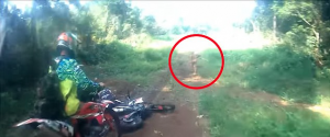 Is this a member of Indonesia’s lost pygmy tribe?…