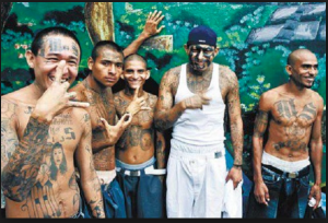 EVIL LATINO CULTURE RISES: ‘If you don’t join the gang, we will kill you’ – How the murderous Central American street gang MS-13 has built up a terrifying criminal stronghold in suburban Long Island…