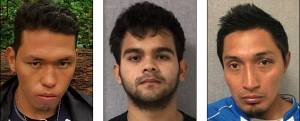 MS-13 girl ‘lured an 18-year-old man to a park with the promise of sex before four gang members stabbed him to death 153 TIMES’…