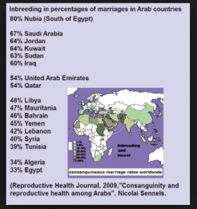 Effects of Centuries of Extreme Inbreeding Among Muslims: Low IQ, Violence and Terrorism…
