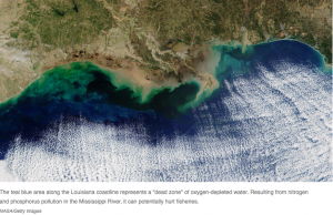 The Gulf Of Mexico’s Dead Zone Is The Biggest Ever Seen…