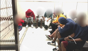 At least 19 looters are arrested across Florida during Irma crime spree…