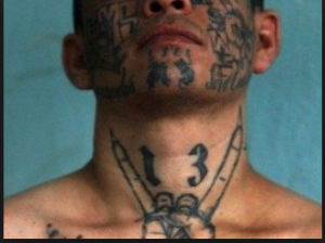 MS-13 using American soil as a playground: Member stabs man 100 times and cuts out his heart…