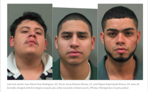 IMMIGRATION – THE GIFT THAT KEEPS GIVING: MS-13 men beat sex-trafficked girl with bat 28 times, ‘indented’ part of her body…