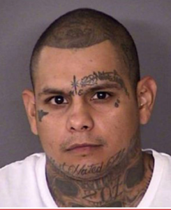 Drugs, Multiculturalism, and America: Murder suspect suffocated victim with plastic bag and then burned his limbs on BBQ pit…