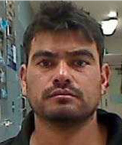 ILLEGAL ALIEN Registered sex offender arrested by border patrol agents…