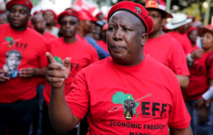 South African politician who said he ‘wants to cut the throat of whiteness’ says racists should ‘go and live in a racist country like Australia’…