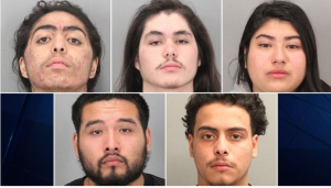Diversity Is Our Strength: Teen-powered San Jose gang busted with 16 arrests…