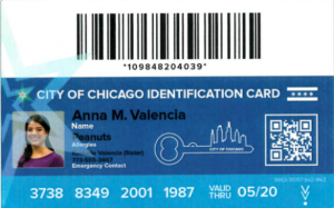 ILLEGAL ALIEN NATION FIRST: On first day, Chicago issues 500 municipal ID cards, officials say…
