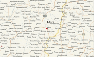 Islam Boko Haram: 86 killed in NE Nigeria suicide blasts – gravediggers…