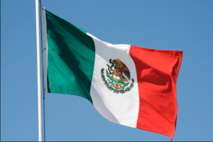 Four Mexican members of a family-run international sex-trafficking ring face charges in a far-reaching operation that preyed on women and girls, federal prosecutors said…