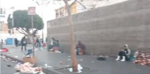 ‘Reprehensible!’ Footage of ‘cesspool’ district Maxine Waters represents, but doesn’t live in, shocks Twitter…