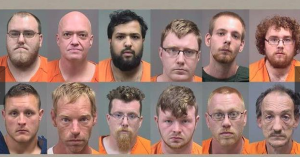 Teacher among 12 arrested in Ohio online child sex sting…