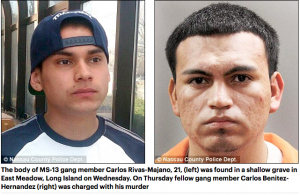 Body of gang member, 21, found in shallow grave on Long Island, as cops reveal he was hacked to death with a machete by fellow MS-13 members because he was an informant…