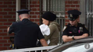 DIVERSITY IS OUR STRENGTH: Yu Fen Wang goes on stabbing spree at ILLEGAL NYC day care…