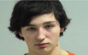 WI: Babysitter, Riley Roth, 17, arrested for allegedly sexually assaulting 8-year-old…