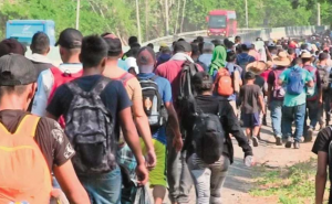 145,095 criminal illegals deported, 1.2% of 11,300,000 aliens in US.