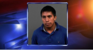 128th Illegal immigrant child sex abuser of 2019 thread.