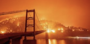 Study Shows 84% of Wildfires Caused by Humans. (What does this tell you about the fires in CA, OR, and WA?)